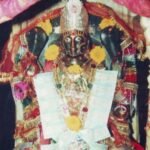 भद्रकाली माताजी