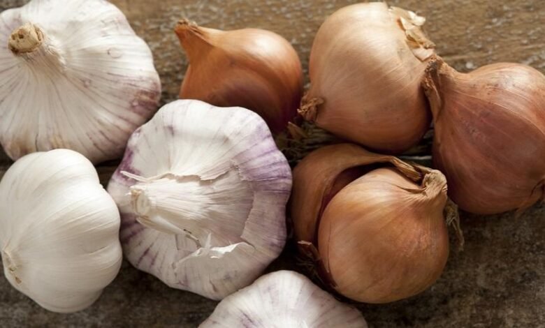 बिना लहसुन प्याज