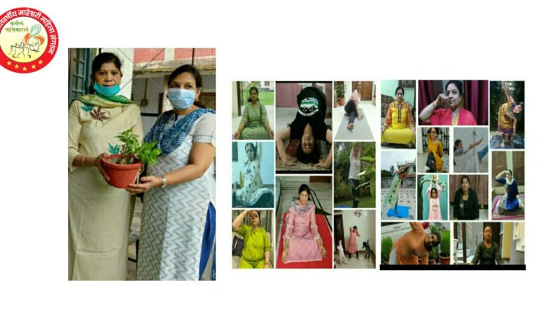 सेवा गतिविधि