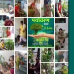 सेवा गतिविधियों का आयोजन