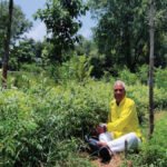 श्याम माहेश्वरी