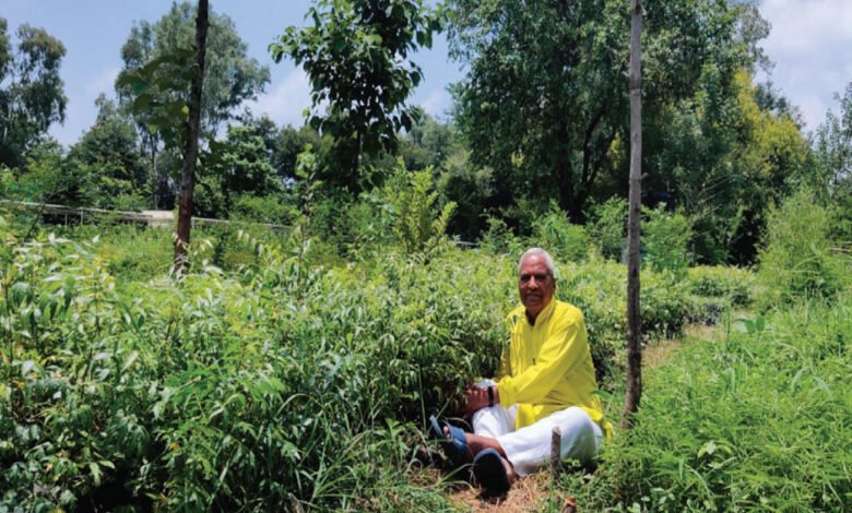 श्याम माहेश्वरी