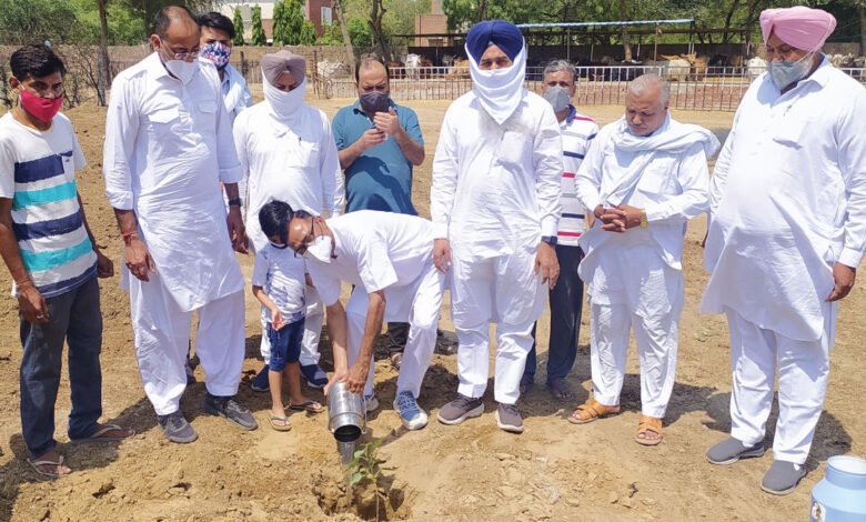 माहेश्वरी सभा कालांवाली