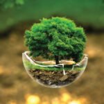 importance of mother nature
