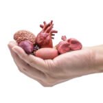 organ-donation