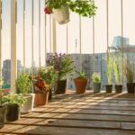 how-to-set-up-your-balcony-garden