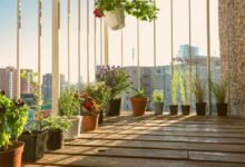 how-to-set-up-your-balcony-garden
