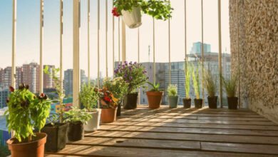 how-to-set-up-your-balcony-garden