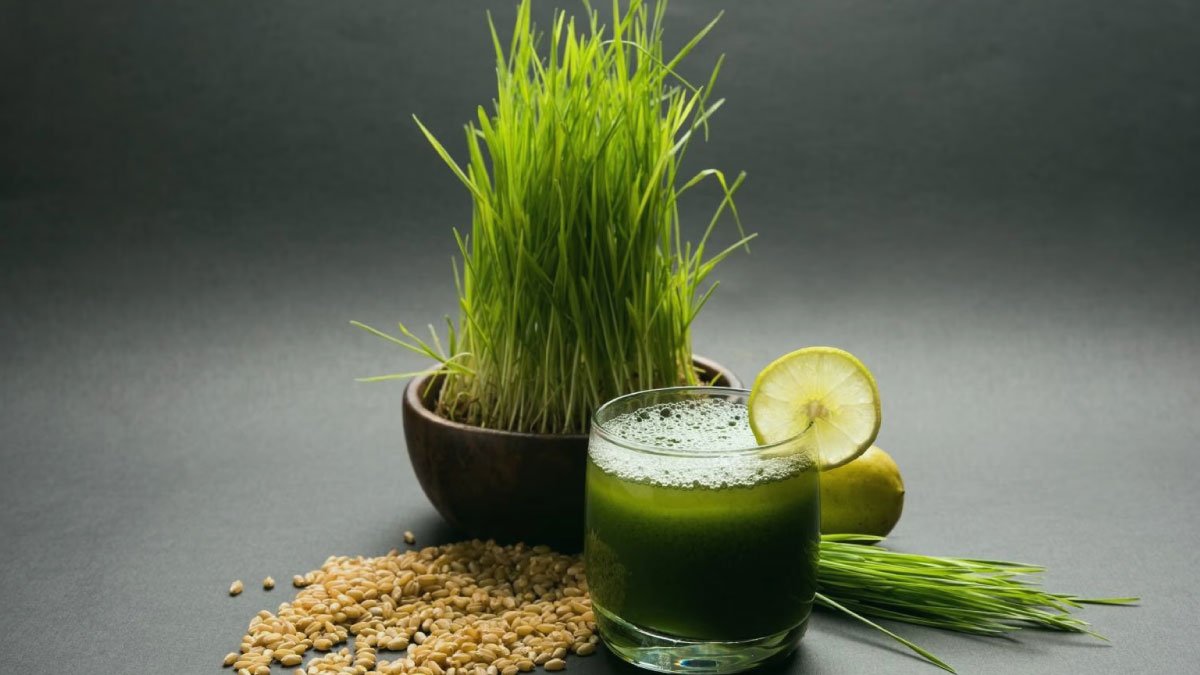 benefits-of-wheatgrass